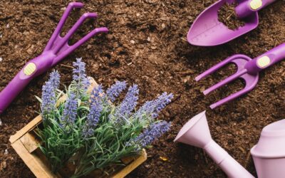 Frugal Gardening: Tips for Maintaining Your Yard on a Budget